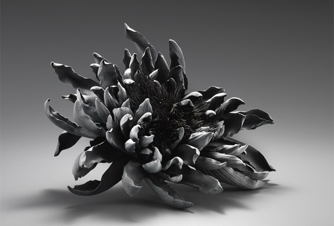  蝕花      H:23.6  W:33.5 cm