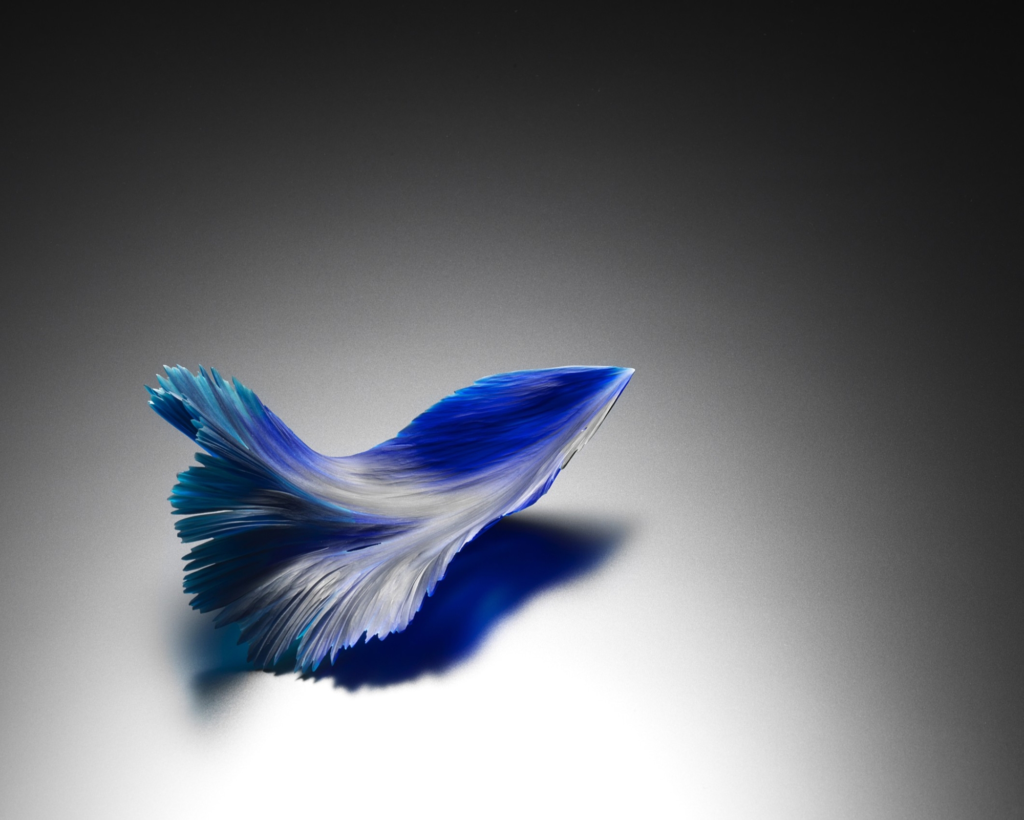 小曽川瑠那  「宵闇をうけて」   ガラス  15 x 11 x 6 cm